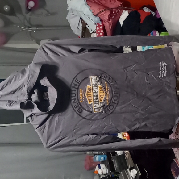 Harley Davidson hoodie - Picture 1 of 7